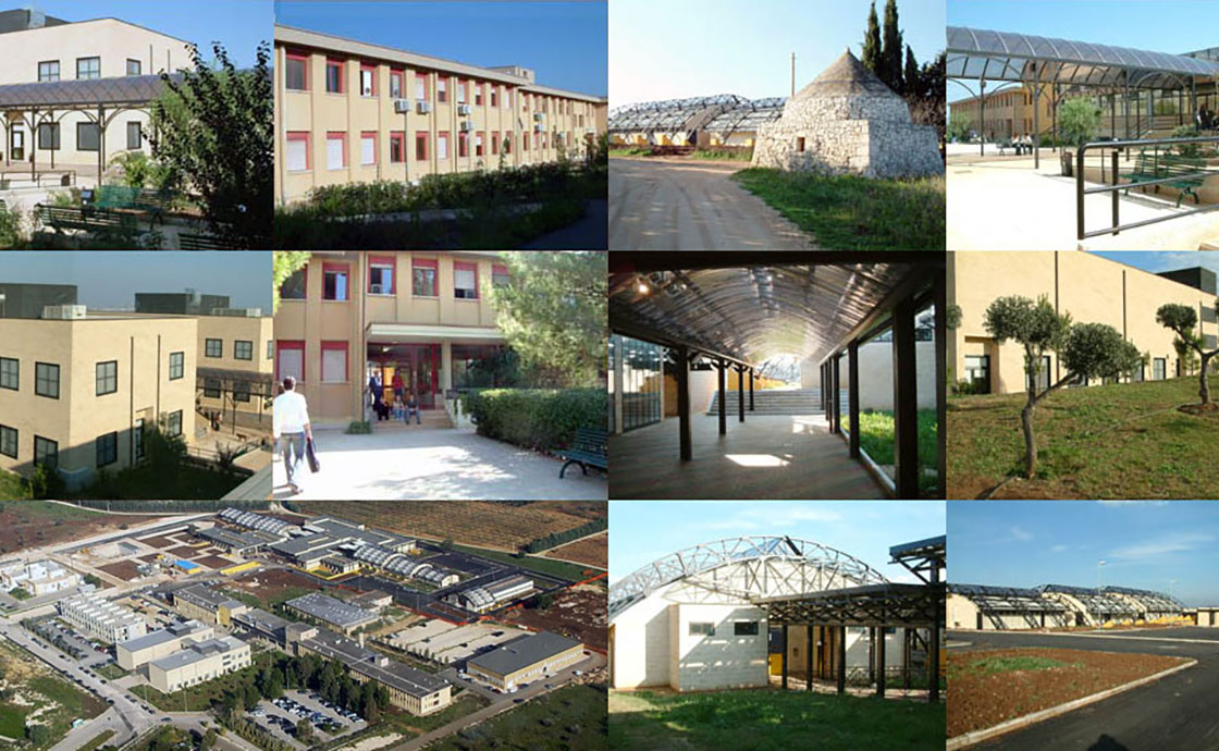 Collage immagini dei lavori per la clinica veterinaria